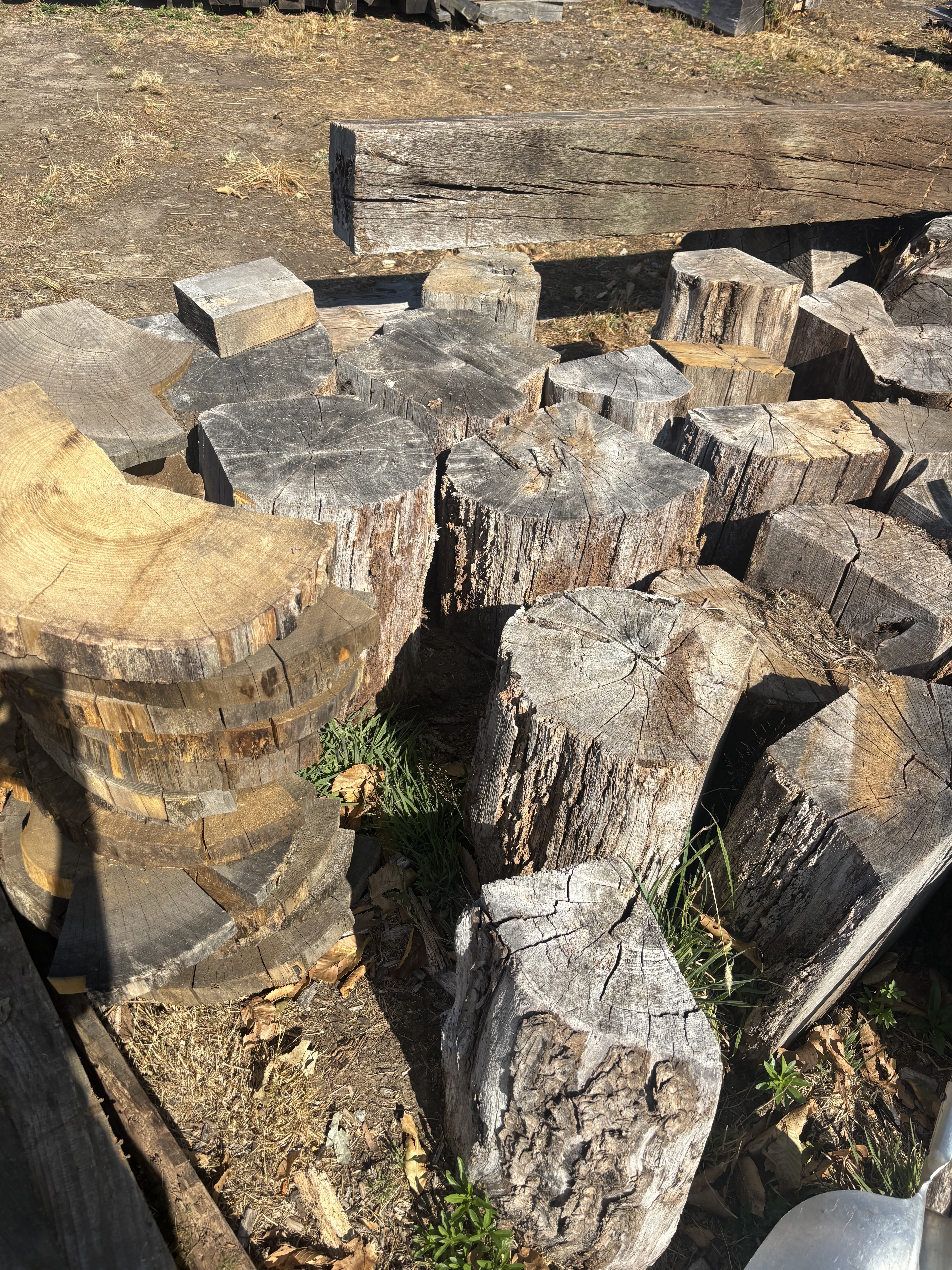 Billots de bois disponibles au dépôt de Treffléan